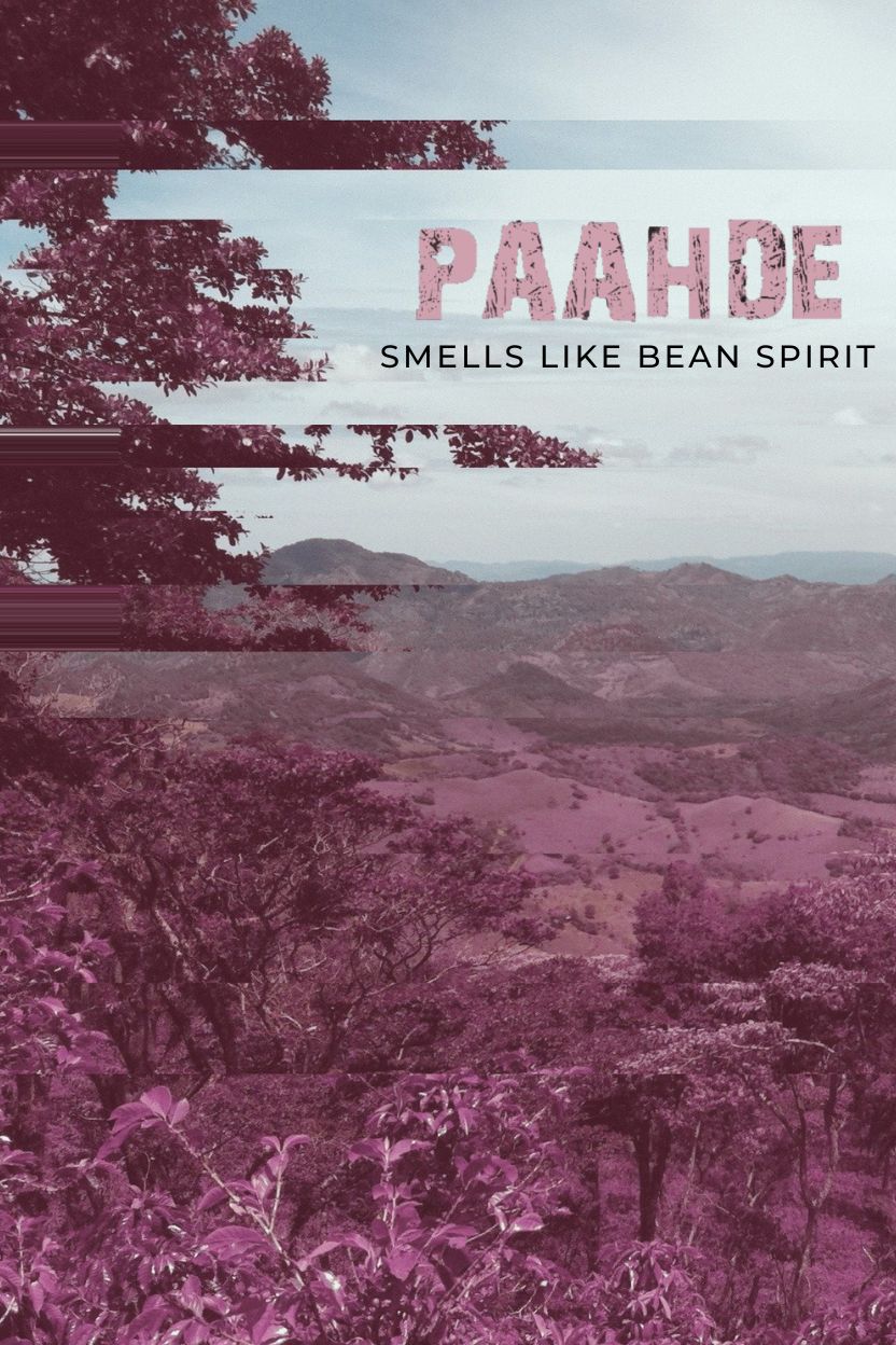 Smells Like Bean Spirit -pakkaus